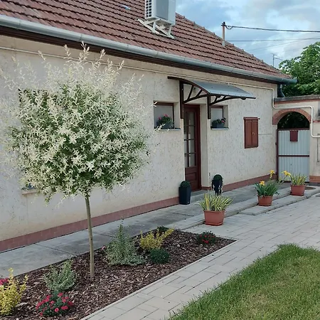 Apartment Ruszi Gyula